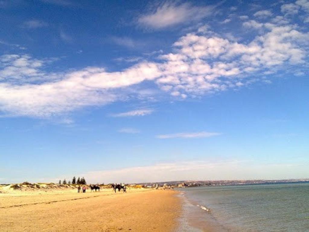 Acushla Accommodation Esplanade Living Self Check-In Self Check-Out West Beach Экстерьер фото